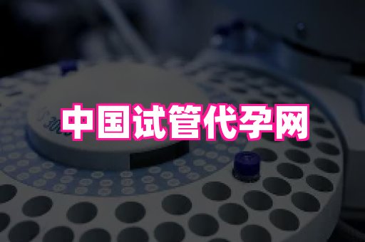 南昌助孕网 4
